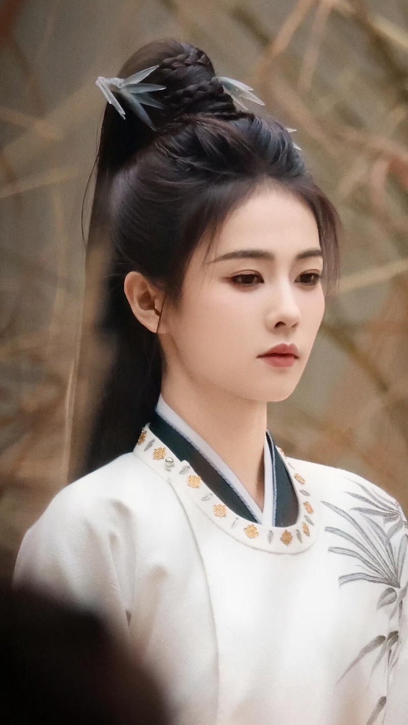 白鹿