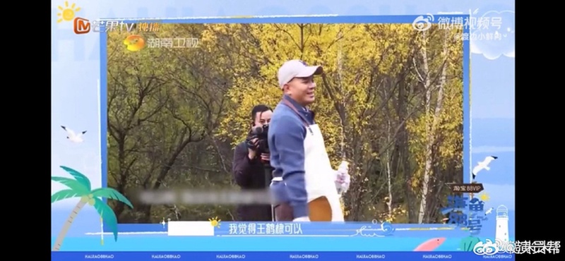王鹤棣